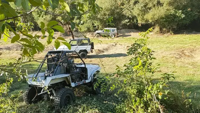 buggy